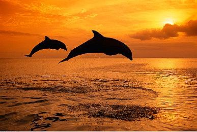 Epic喜加一：《地铁：最后的曙光》免费领取