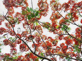 《使命召唤：现代战争3》免费体验即将开启 截至2月12日